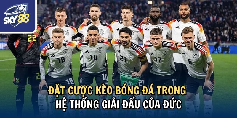 Kèo Bóng Đá Đức: Chiến Lược Đặt Kèo Bao Chuẩn Cùng Sky88 1 Đặt cược kèo bóng đá trong hệ thống giải đấu của Đức